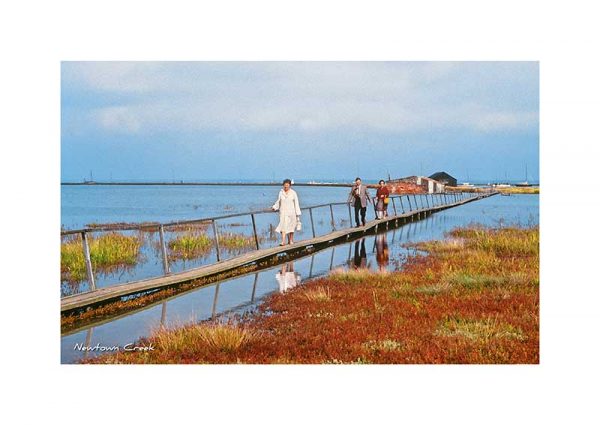 Vintage photograph Newtown Creek Isle Of Wight