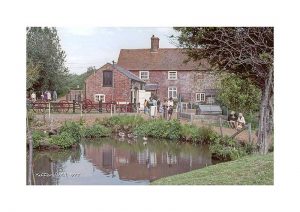 Vintage photograph Yafford Mill Isle Of Wight