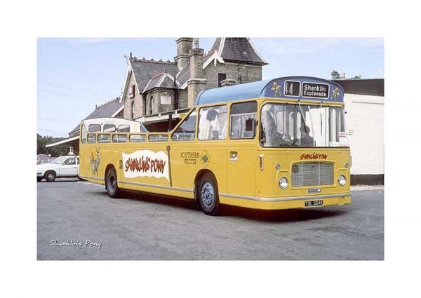 Vintage photograph Shanklin's Pony Isle Of Wight