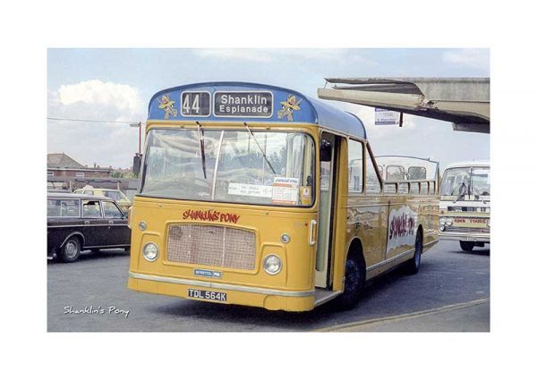 Vintage photograph Shanklin's Pony Isle Of Wight