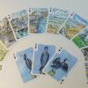 Maria ward isle of wight playing cards deck of cards island artist designs